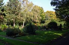 Herbst-Friedhof 001.jpg